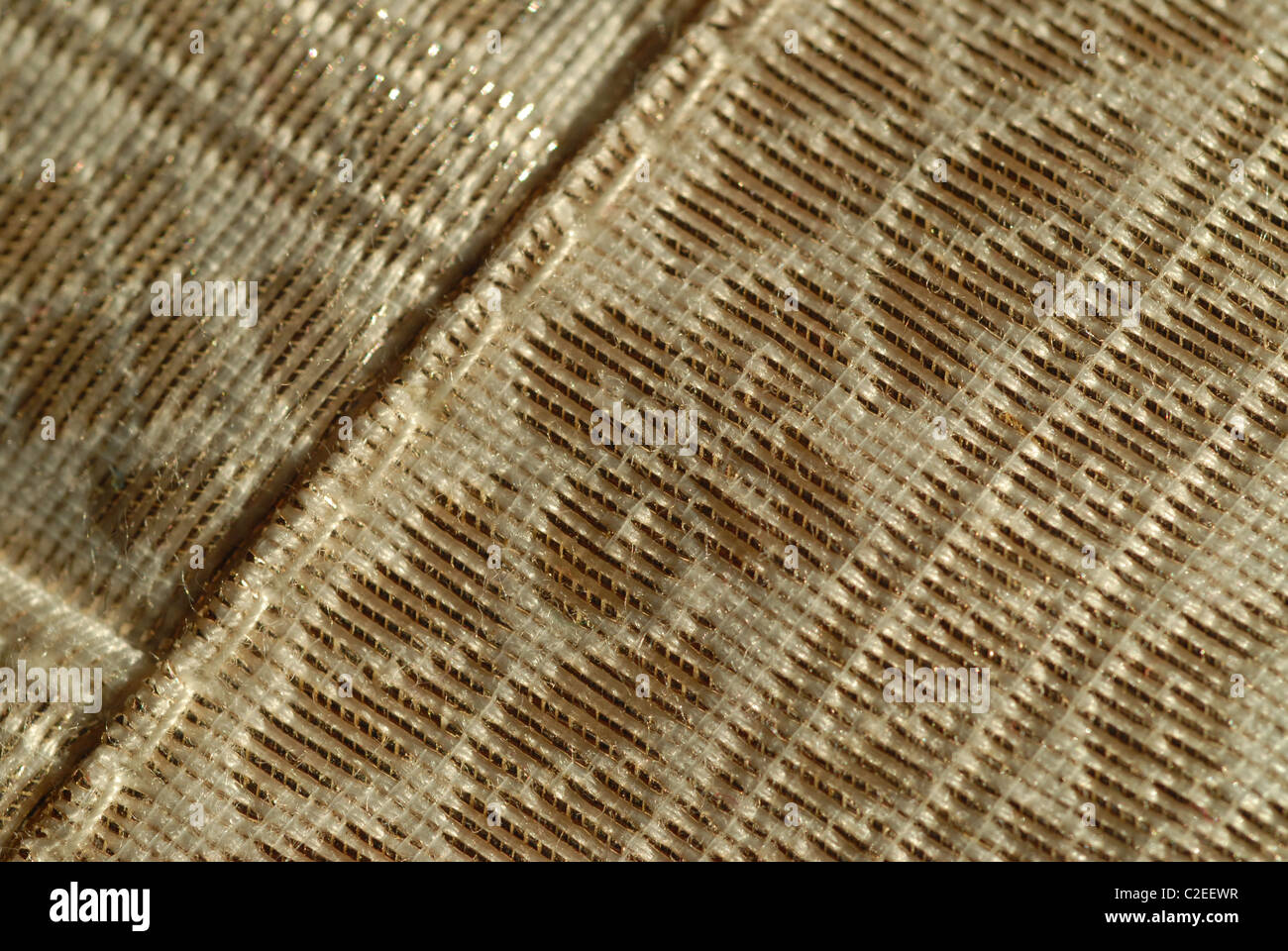 Détail d'un coussin décoratif décoré de fleurs d'or. Banque D'Images