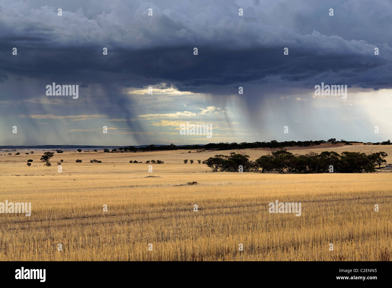 Tempête sur les terres agricoles, Courcelles l'ouest de l'Australie Banque D'Images