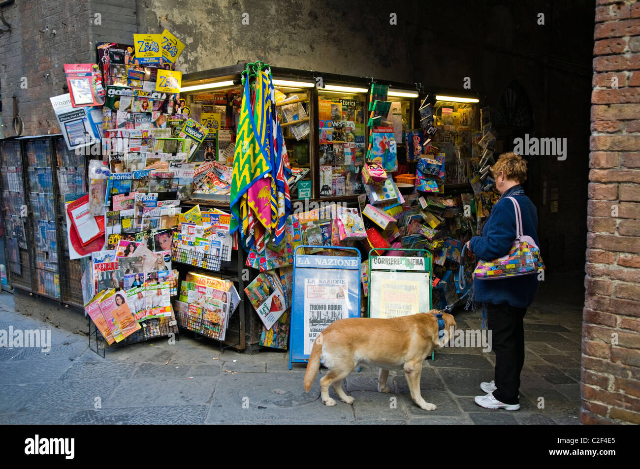Femme avec un chien la lecture devant un kiosque à journaux à Sienne, Italie Banque D'Images
