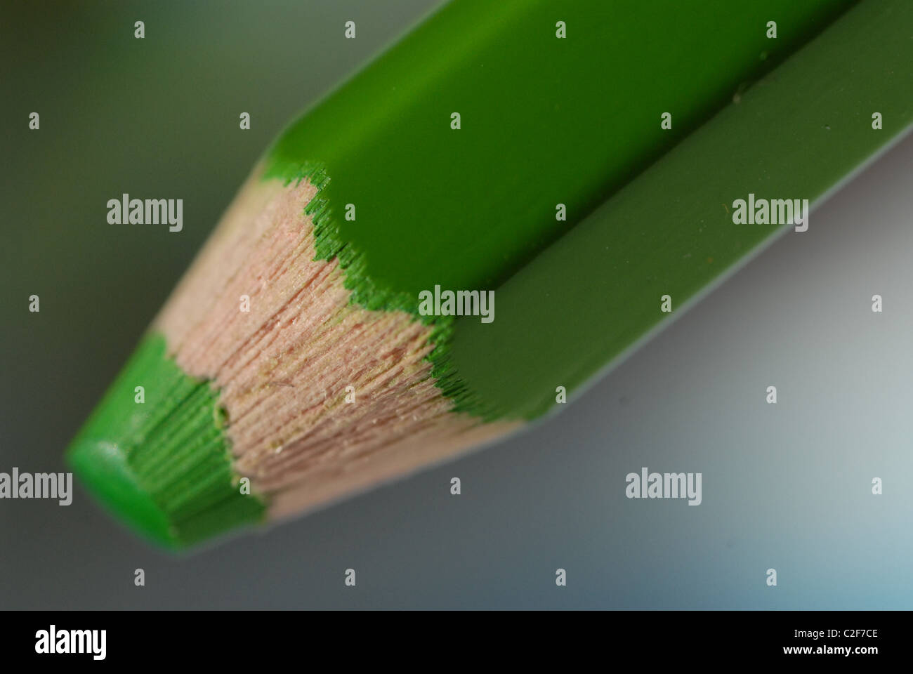 Close-up de crayon vert. Banque D'Images