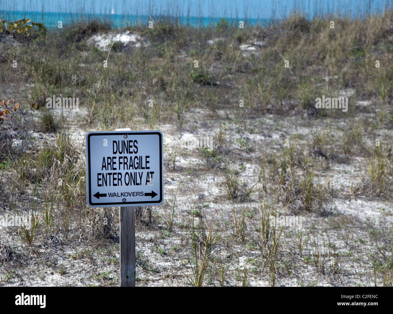 Avertissement signe de dunes fragiles Banque D'Images