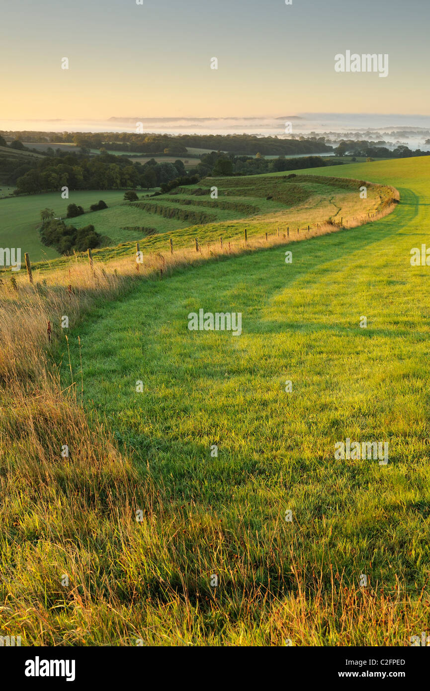 Le bord d'un champ qui serpente dans la distance dans le Deverills, Wiltshire. Banque D'Images
