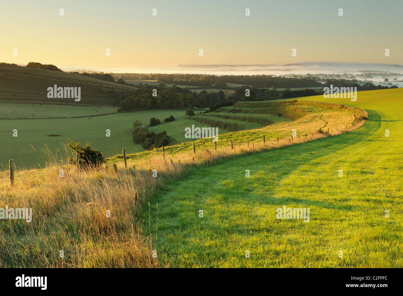 Le bord d'un champ qui serpente dans la distance dans le Deverills, Wiltshire. Banque D'Images