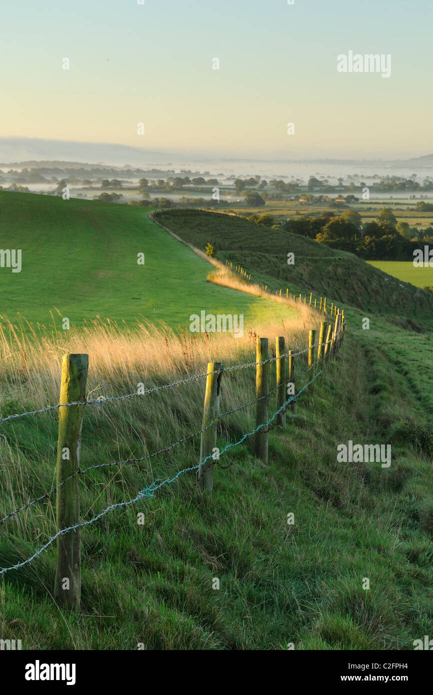 Une rangée de poteaux de clôture en bordure des terres agricoles dans l'Deverills, Wiltshire. Banque D'Images