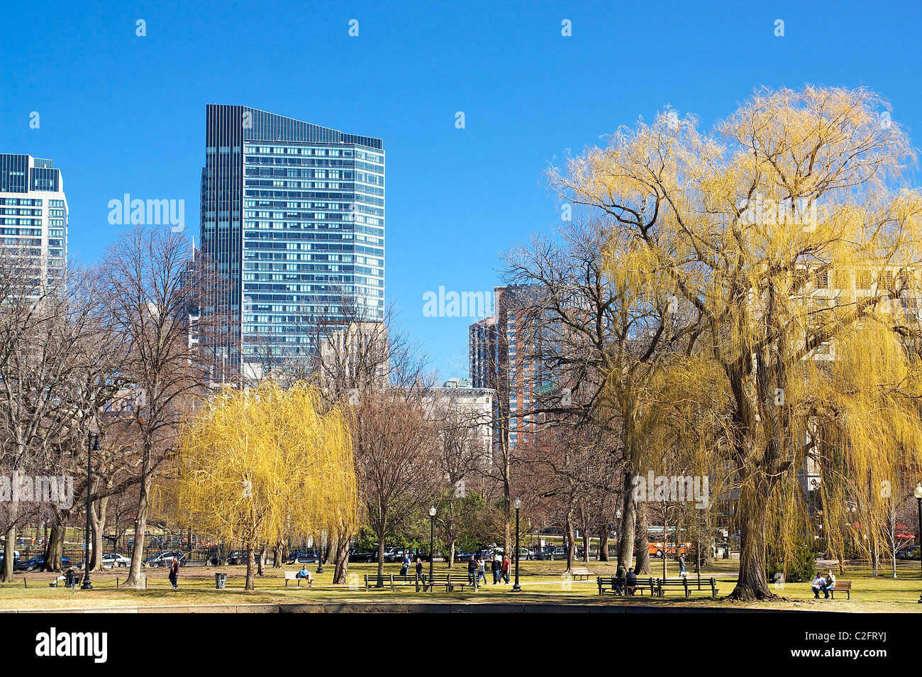 Le Jardin Public de Boston au Massachusetts, au début de printemps Banque D'Images