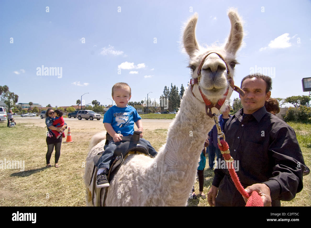 Entraîneur des animaux avec de l'Amra's llama Brothers Circus ride donnant à petit enfant Banque D'Images