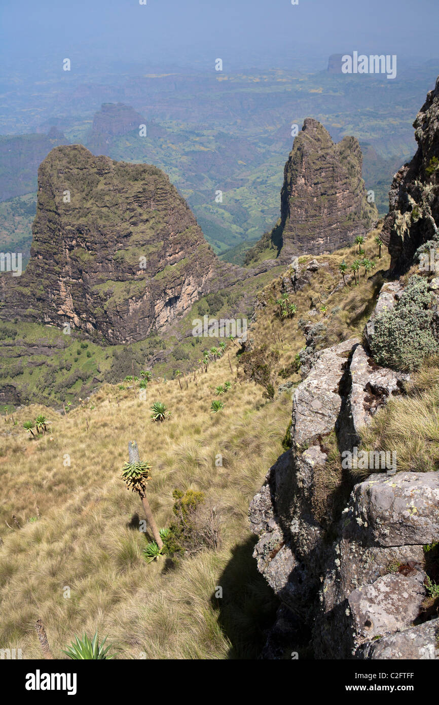 Vue sur les rochers de plaine de GI/TI dans les montagnes du Simien Gogo Banque D'Images
