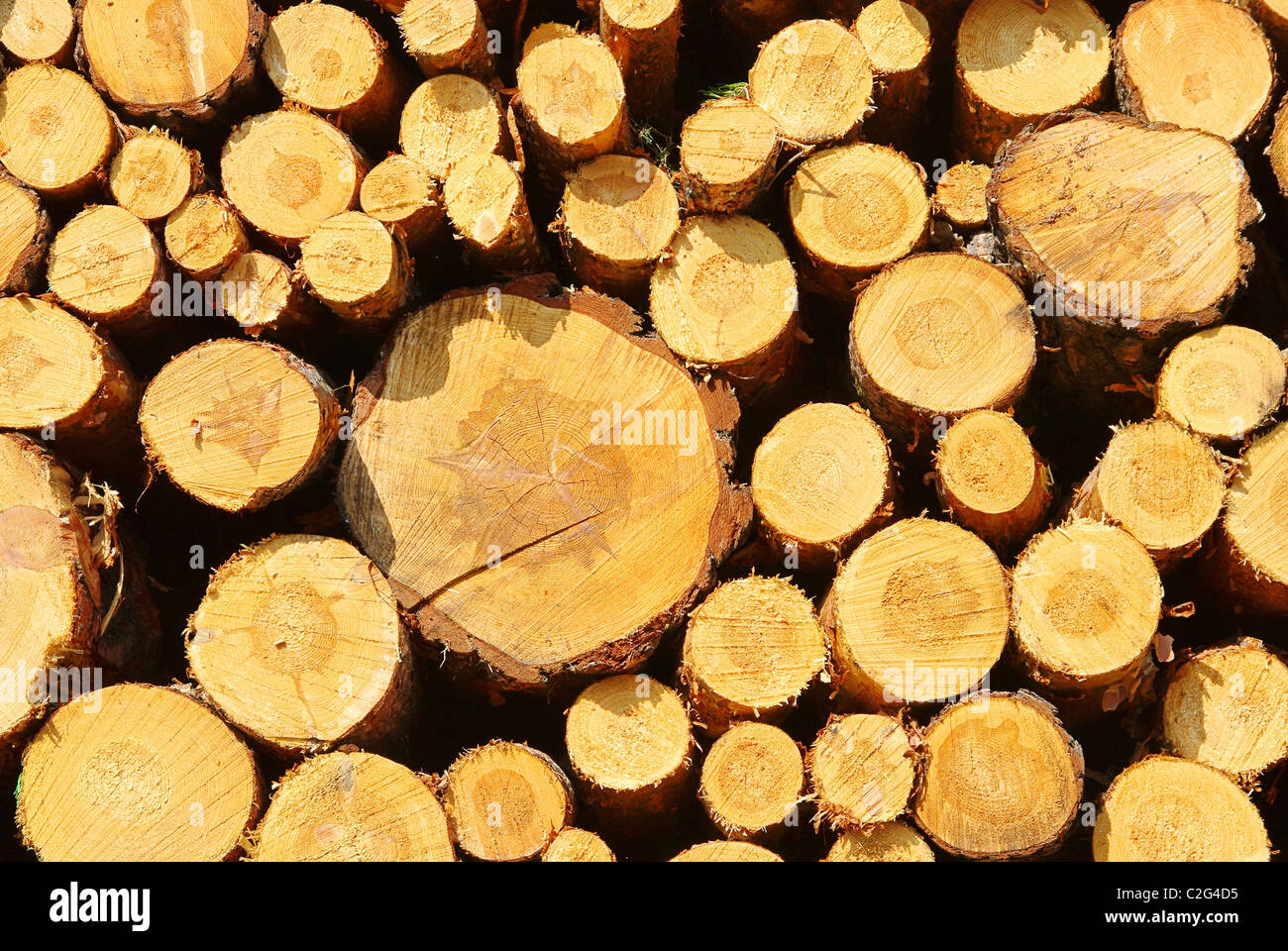 Holzstapel - pile de bois 34 Banque D'Images