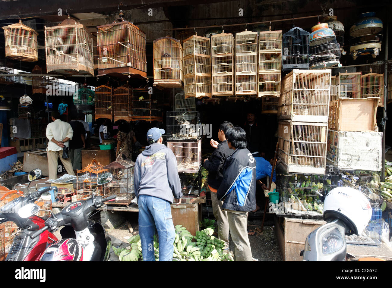 Marché aux oiseaux de Pramuka, Jakarta, Indonésie, Mars 2011 Banque D'Images