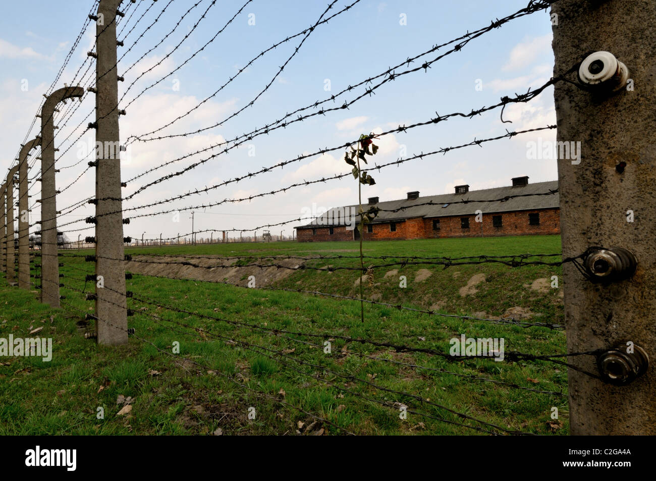 -Électrique barbelés avec rose à la mémoire des prisonniers tués à Oswiecim - Brzezinka -Auschwitz II Birkenau- Banque D'Images