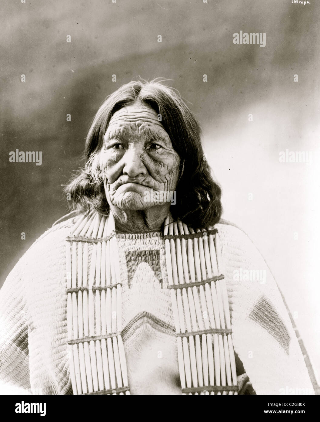 Femme de wapiti Banque D'Images