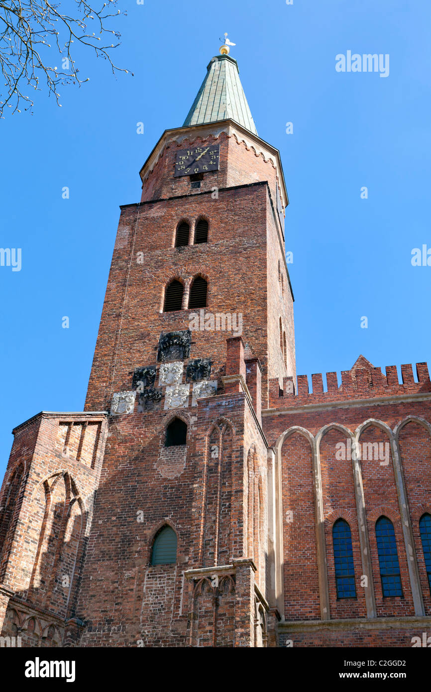Dom St Pierre et Paul, Brandenburg an der Havel, Allemagne Banque D'Images