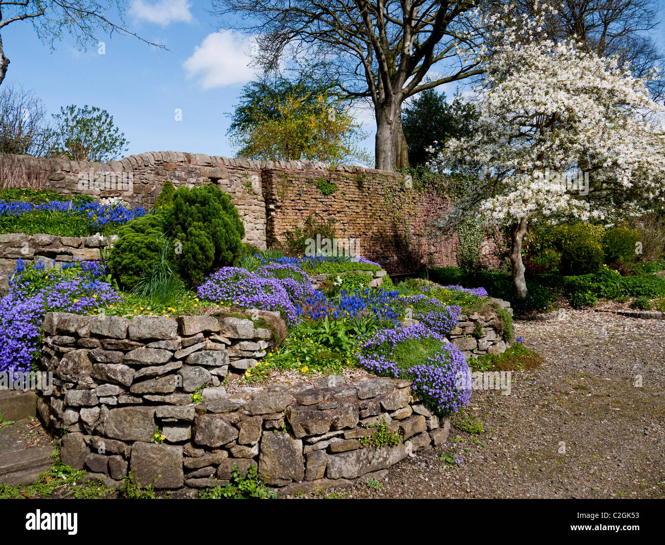 Rocaille dans le parc de Whalley Abbey, Whalley,Clitheroe Lancashire,, Angleterre, Royaume-Uni. Banque D'Images