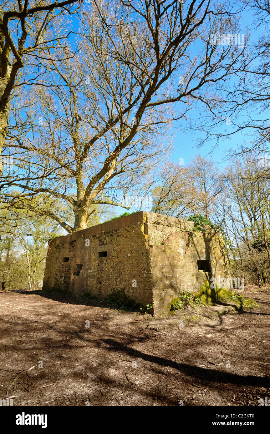 Guerre Mondiale deux comprimé fort dans les North Downs Way, près de Burnham, Surrey Banque D'Images
