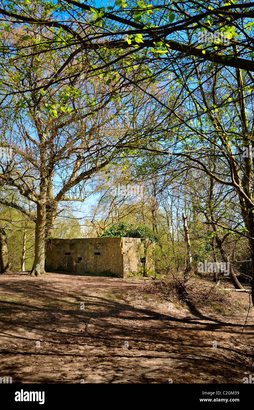 Guerre Mondiale deux comprimé fort dans les North Downs Way, près de Burnham, Surrey Banque D'Images