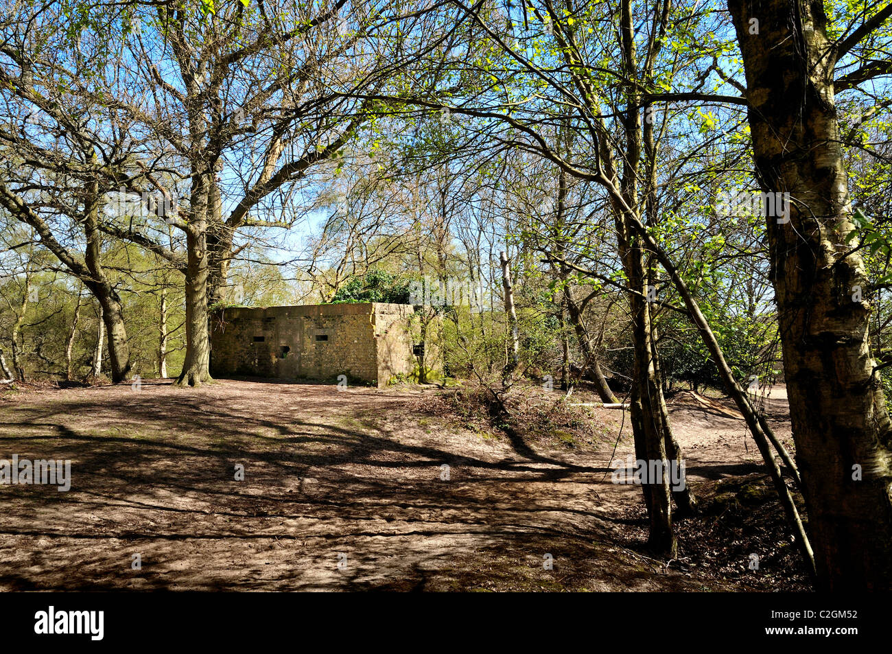 Guerre Mondiale deux comprimé fort dans les North Downs Way, près de Burnham, Surrey Banque D'Images