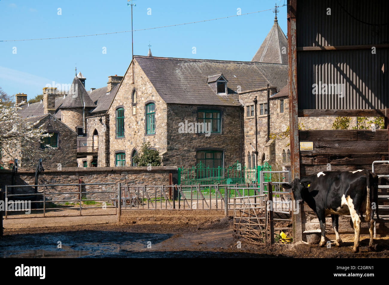 La ferme laitière à la Mount St Bernard, près de l'abbaye Whitwick dans le Leicestershire, Angleterre, Royaume-Uni Banque D'Images