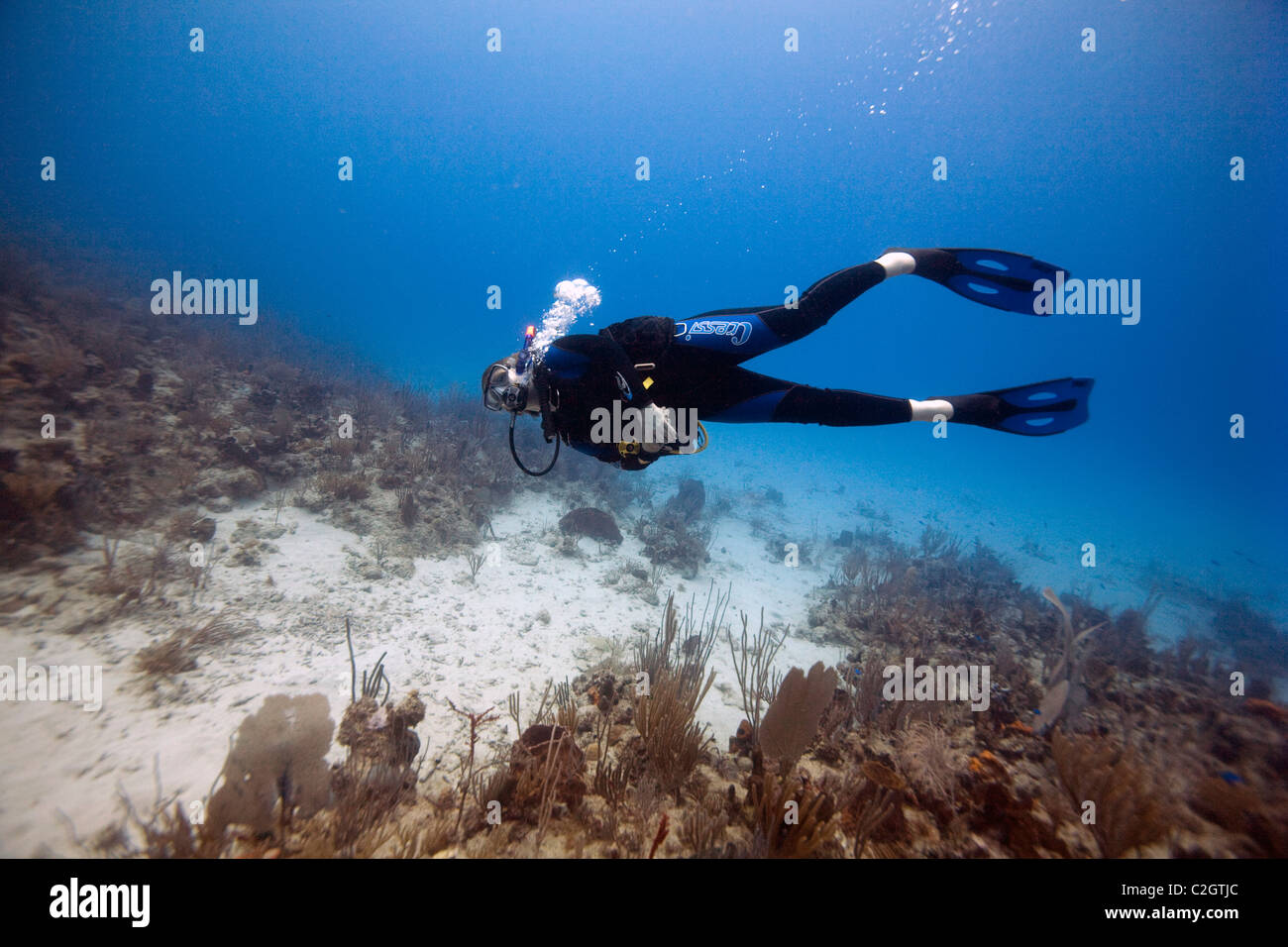 Une femelle scuba diver bénéficie d''un plongeon dans les eaux près de English Harbour, Antigua. Banque D'Images