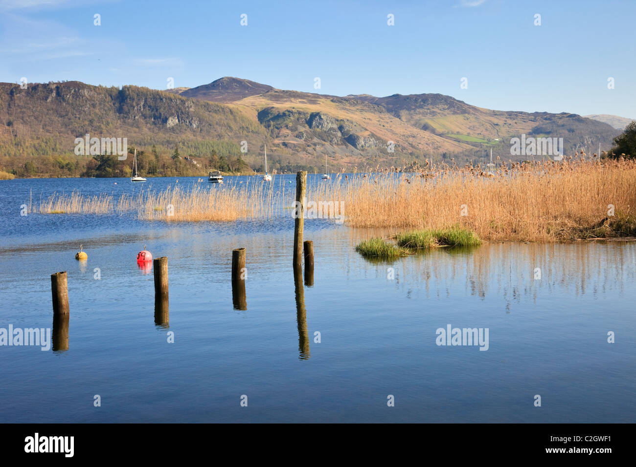 Voir l'est à travers le lac Derwentwater in Borrowdale dans le Lake District National Park en été. Portinscale Keswick Cumbria England UK Grande-Bretagne Banque D'Images