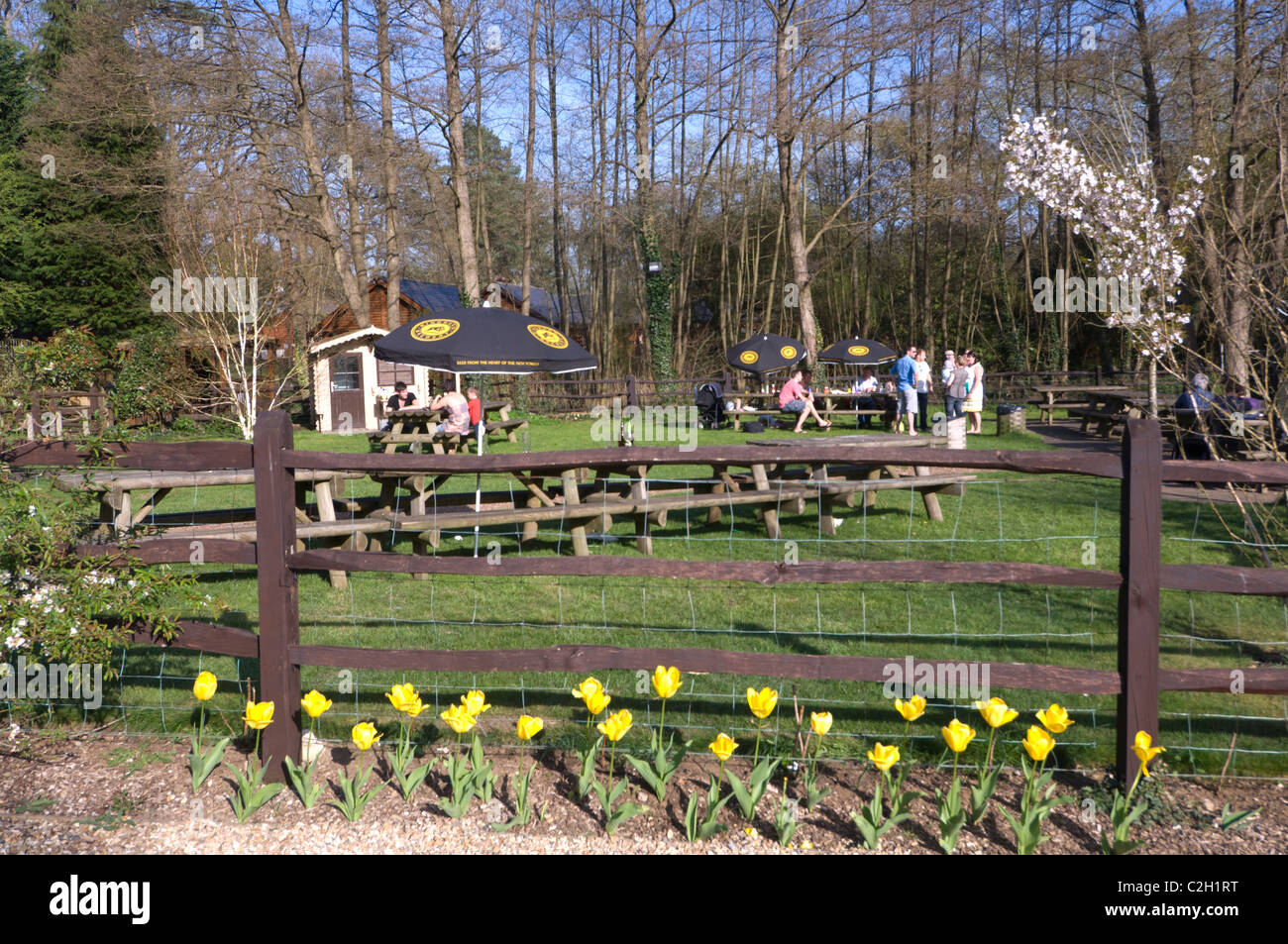 Le duc de Wellington Pub près de Farnham Surrey UK Banque D'Images