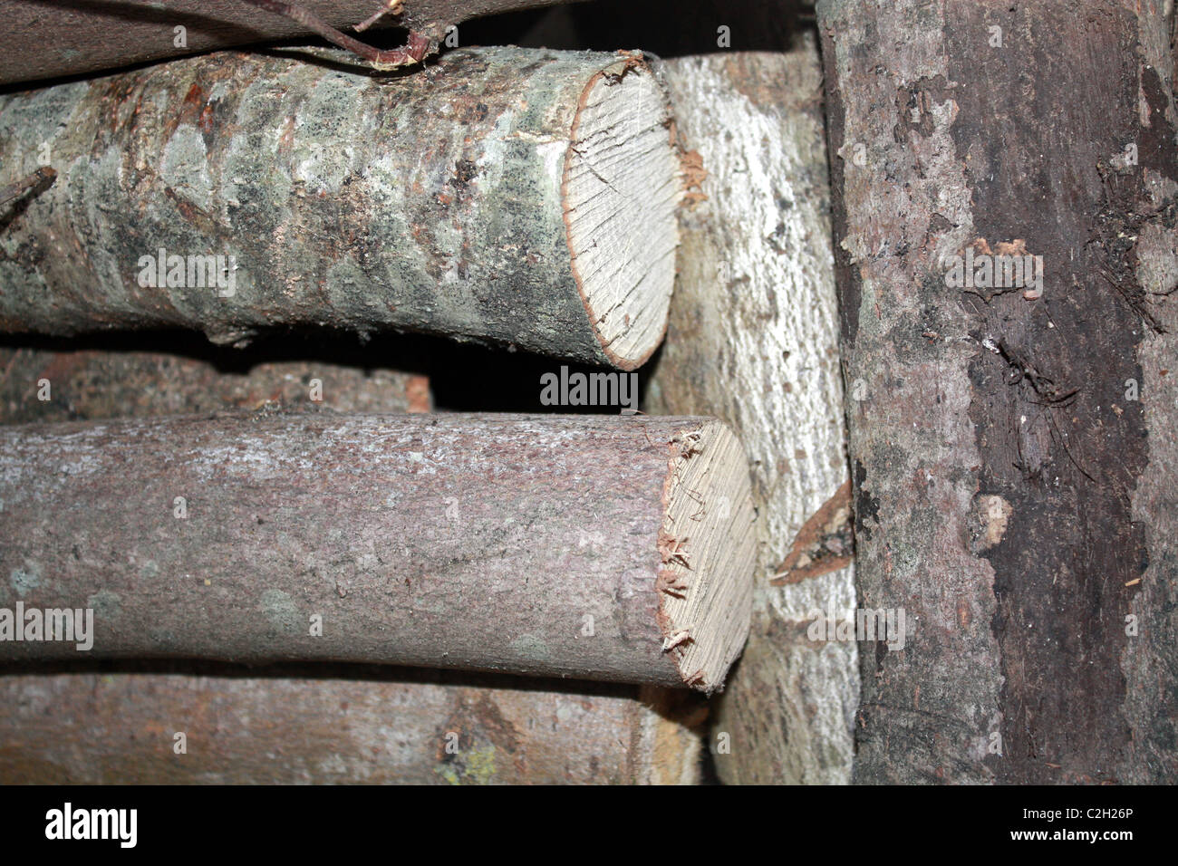 Le bois pour la cheminée Banque D'Images