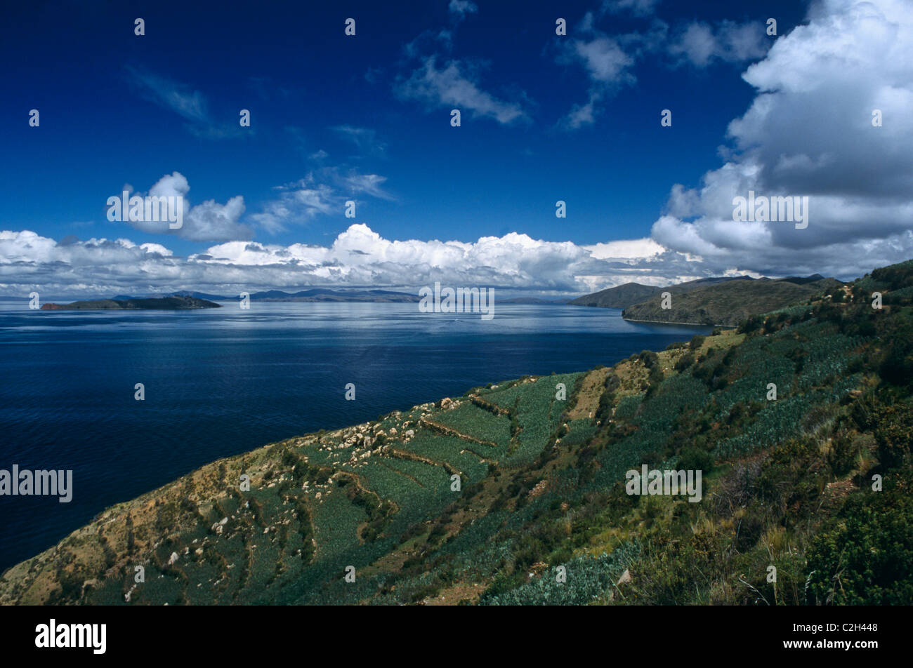 Le lac Titicaca Bolivie Banque D'Images