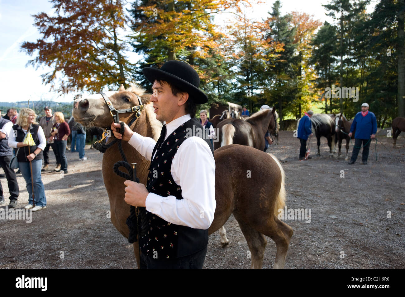 Un marché de chevaux, St. Maerge, Allemagne Banque D'Images