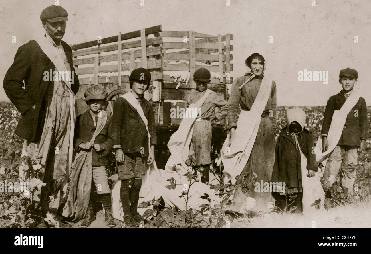 Une famille de cueilleurs de coton Banque D'Images