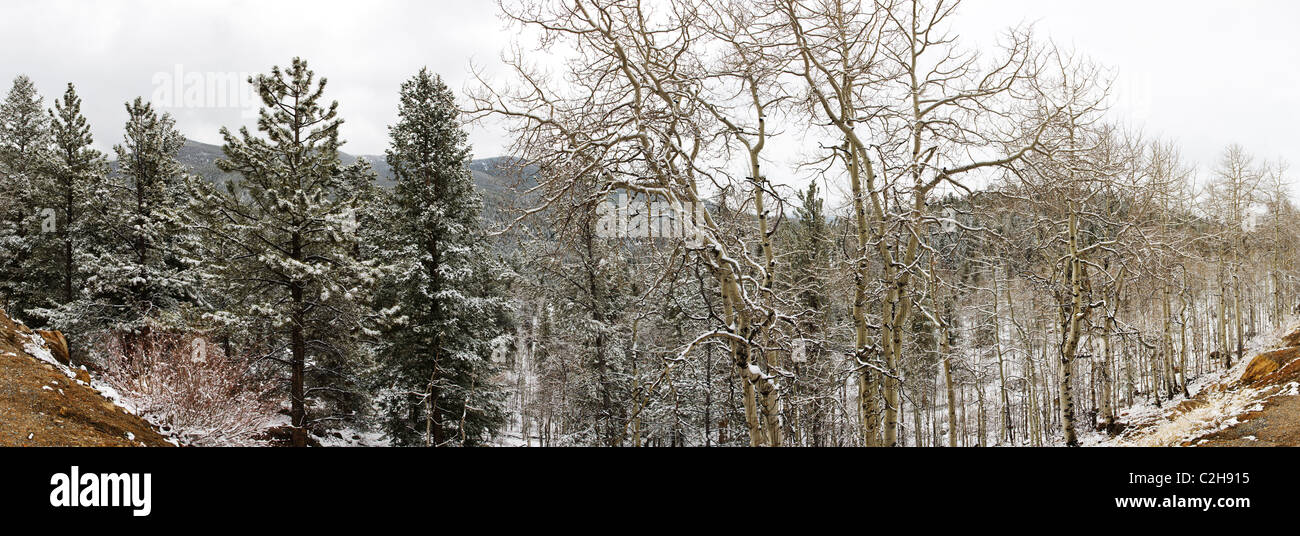 Vue panoramique d'hiver sur le côté ouest de Monarch Pass, San Isabel National Forest, Colorado, USA Banque D'Images