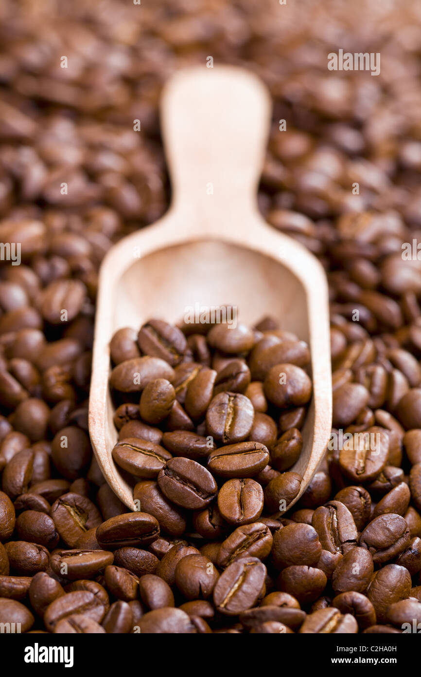 Les grains de café sur scoop en bois Banque D'Images