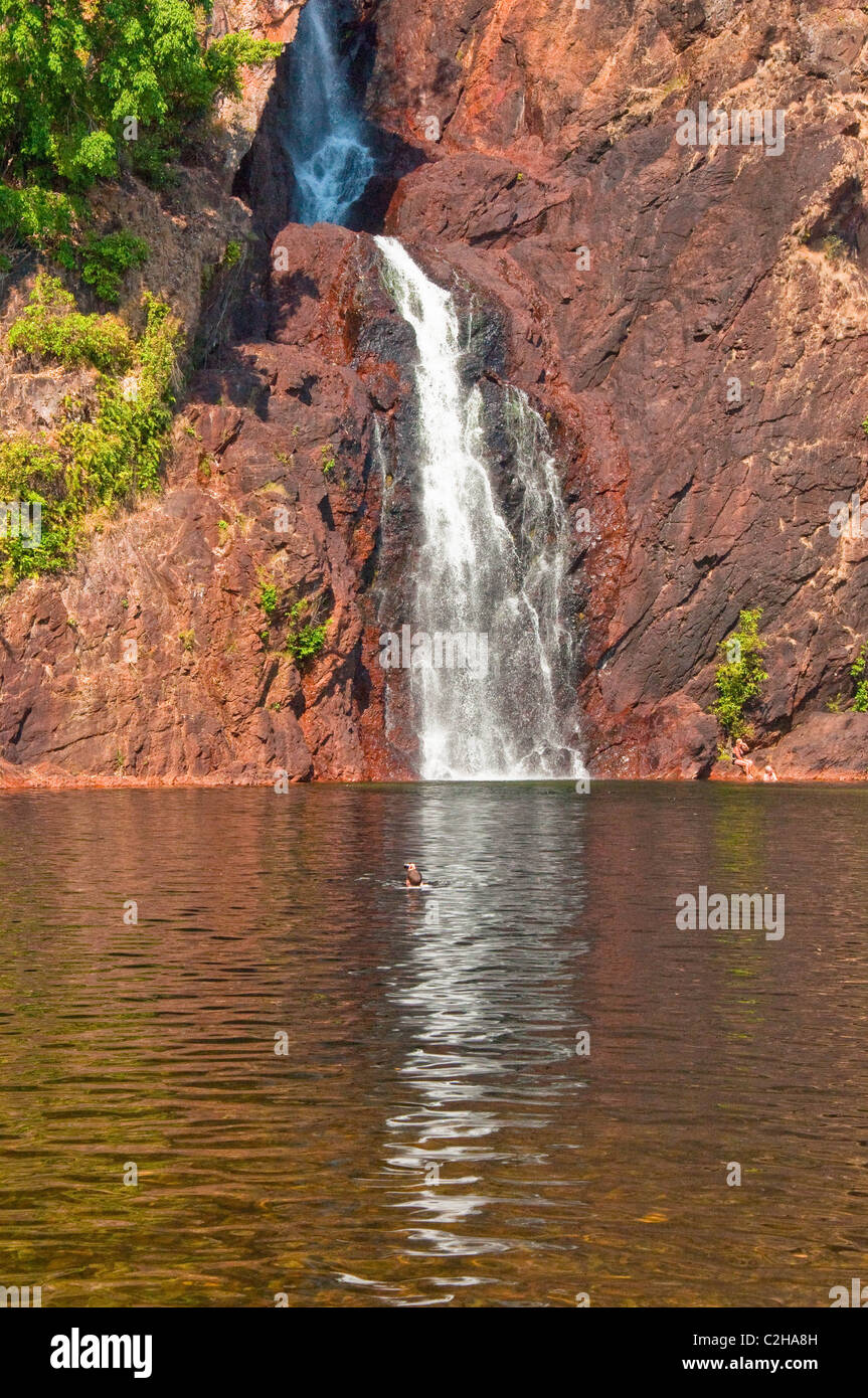 Chute d'eau à Kakadu National Park, Australie Banque D'Images
