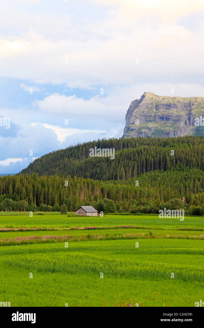 Petite ferme de maisons dans la vallée. Paysages de Norvège. Banque D'Images