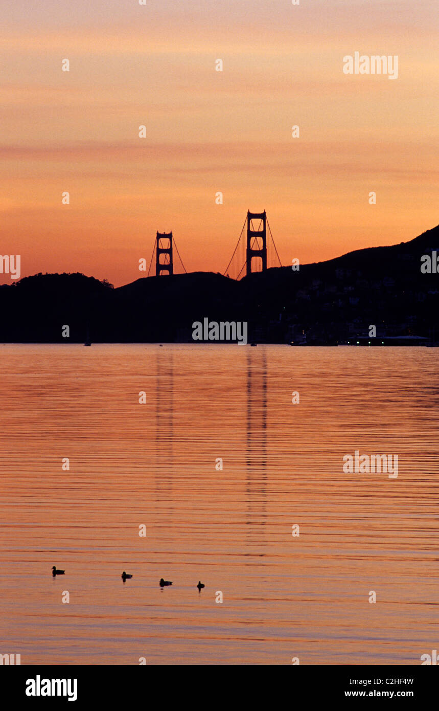 Le comté de Marin vue sur le Golden Gate Bridge au-dessus de tours Sausalito hills au coucher du soleil © Bob Kreisel Banque D'Images