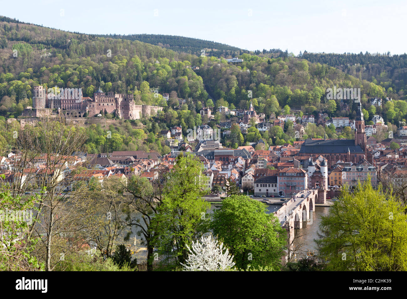 Château et le vieux pont, Heidelberg, Bade-Wurtemberg, Allemagne Banque D'Images