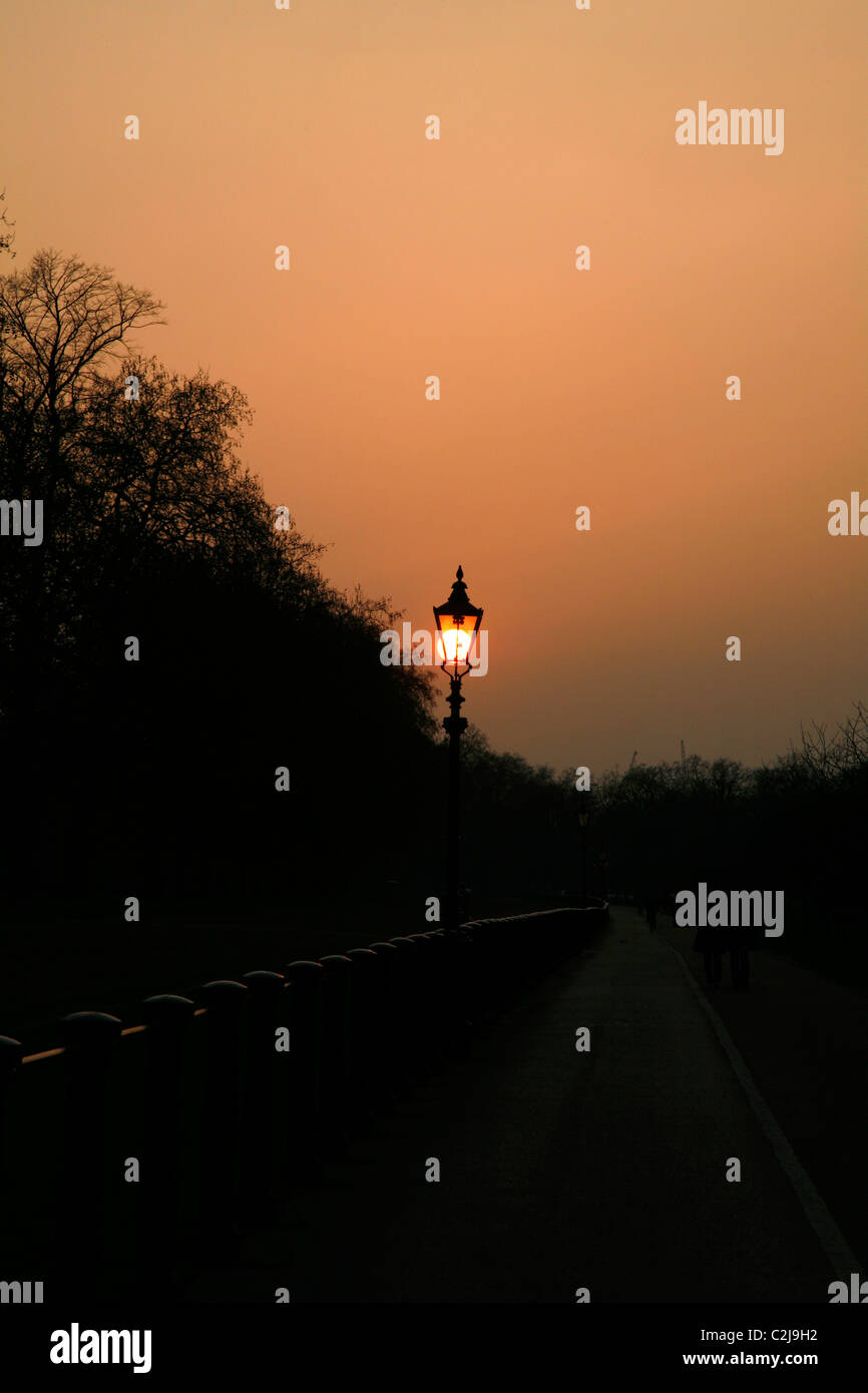 Coucher de soleil sur Rotten Row, Hyde Park, London, UK Banque D'Images