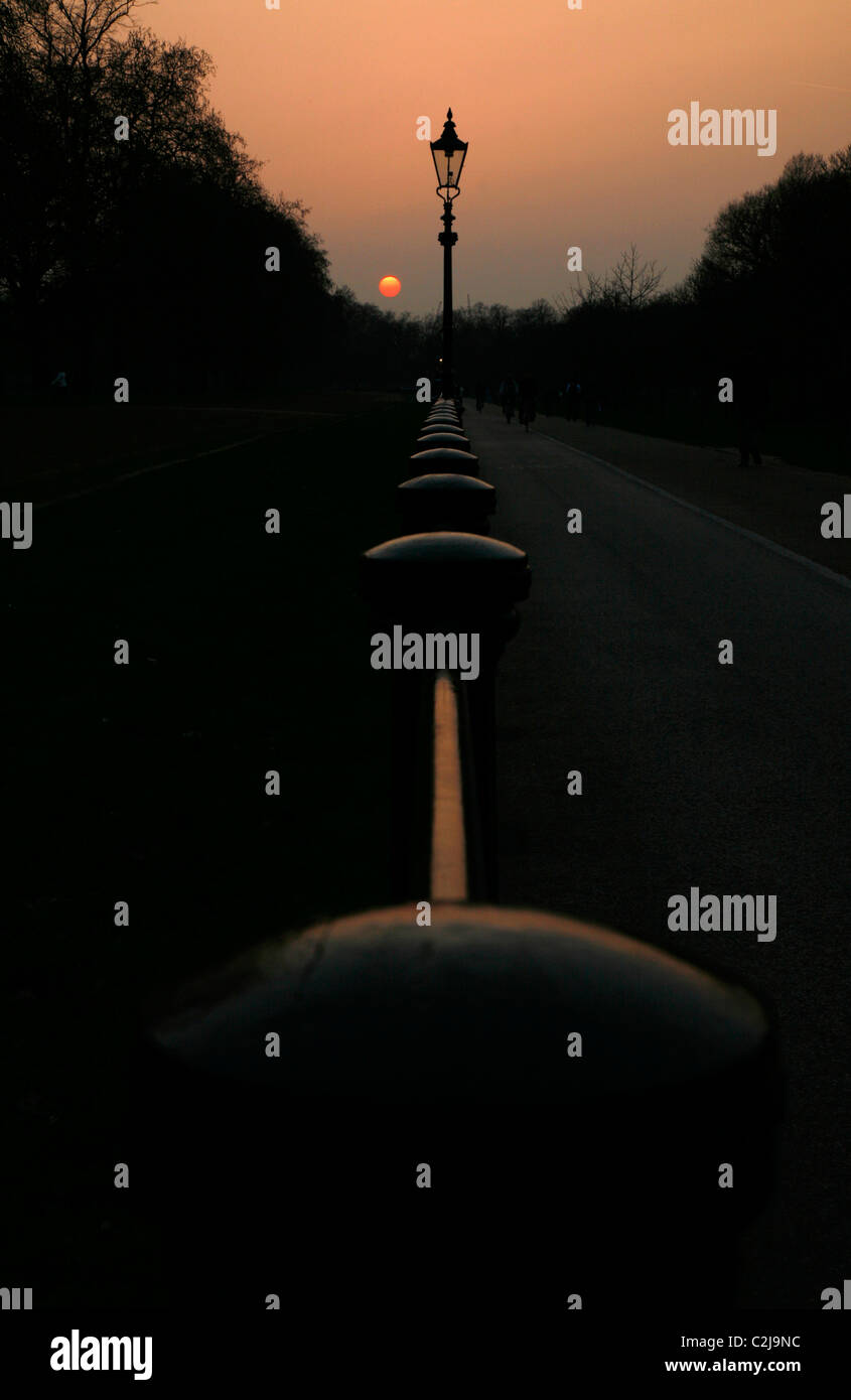 Coucher de soleil sur Rotten Row, Hyde Park, London, UK Banque D'Images