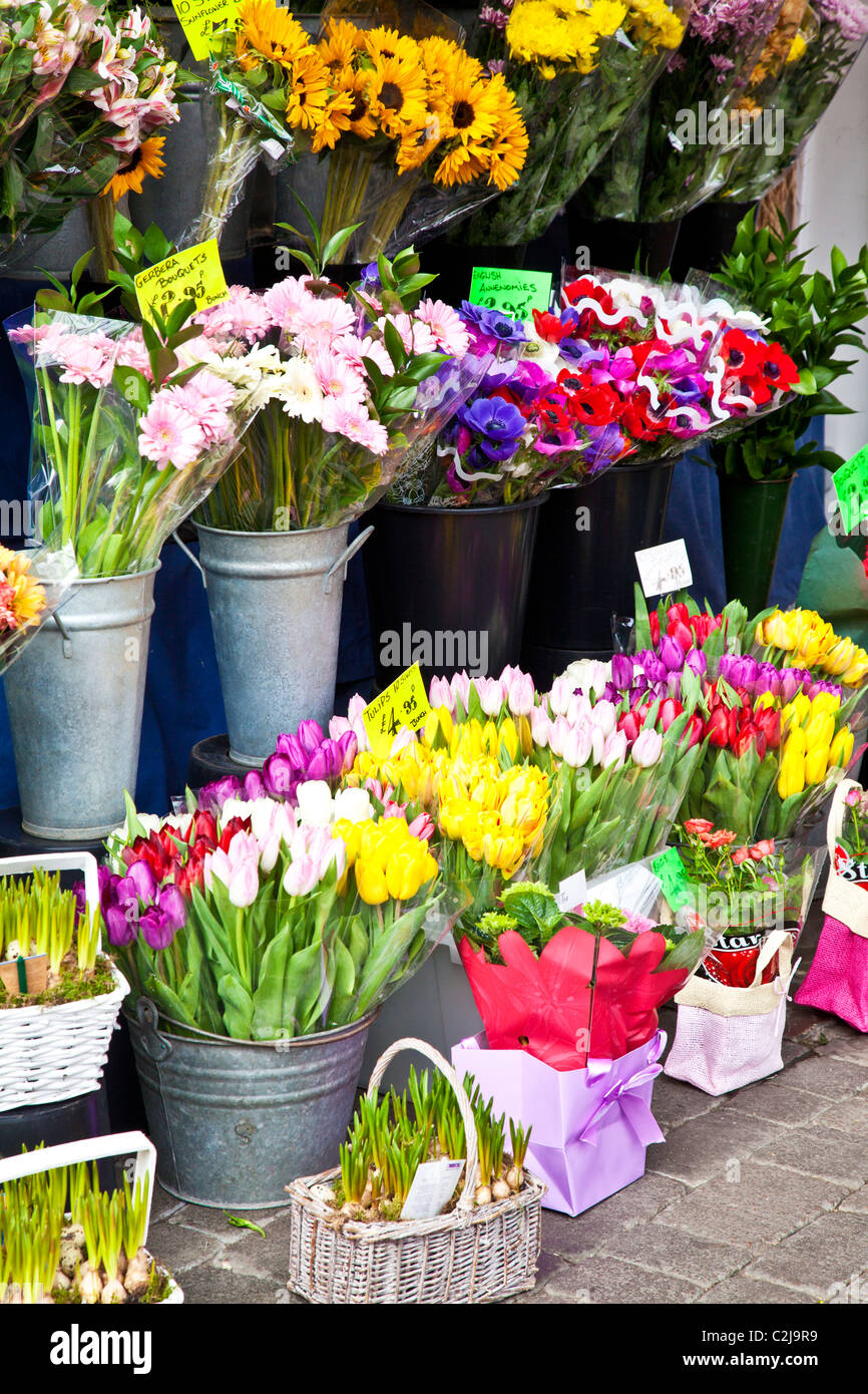 Affichage des grappes de fleurs coupées et bouquets de tulipes fleurs de printemps et à l'extérieur d'un fleuriste en Angleterre, Royaume-Uni Banque D'Images