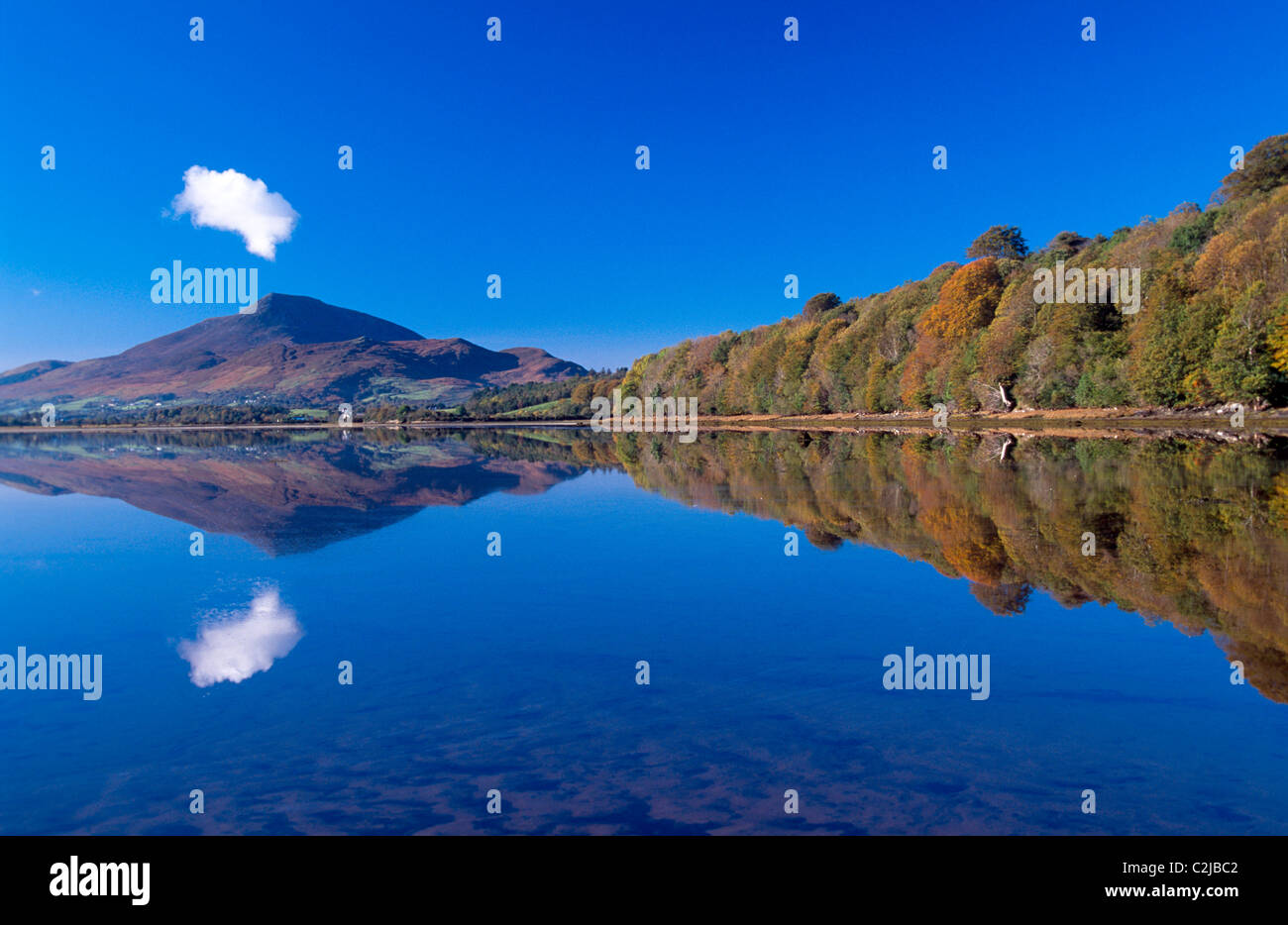 Reflet de l'automne Muckish Mountain, comté de Donegal, Irlande. Banque D'Images