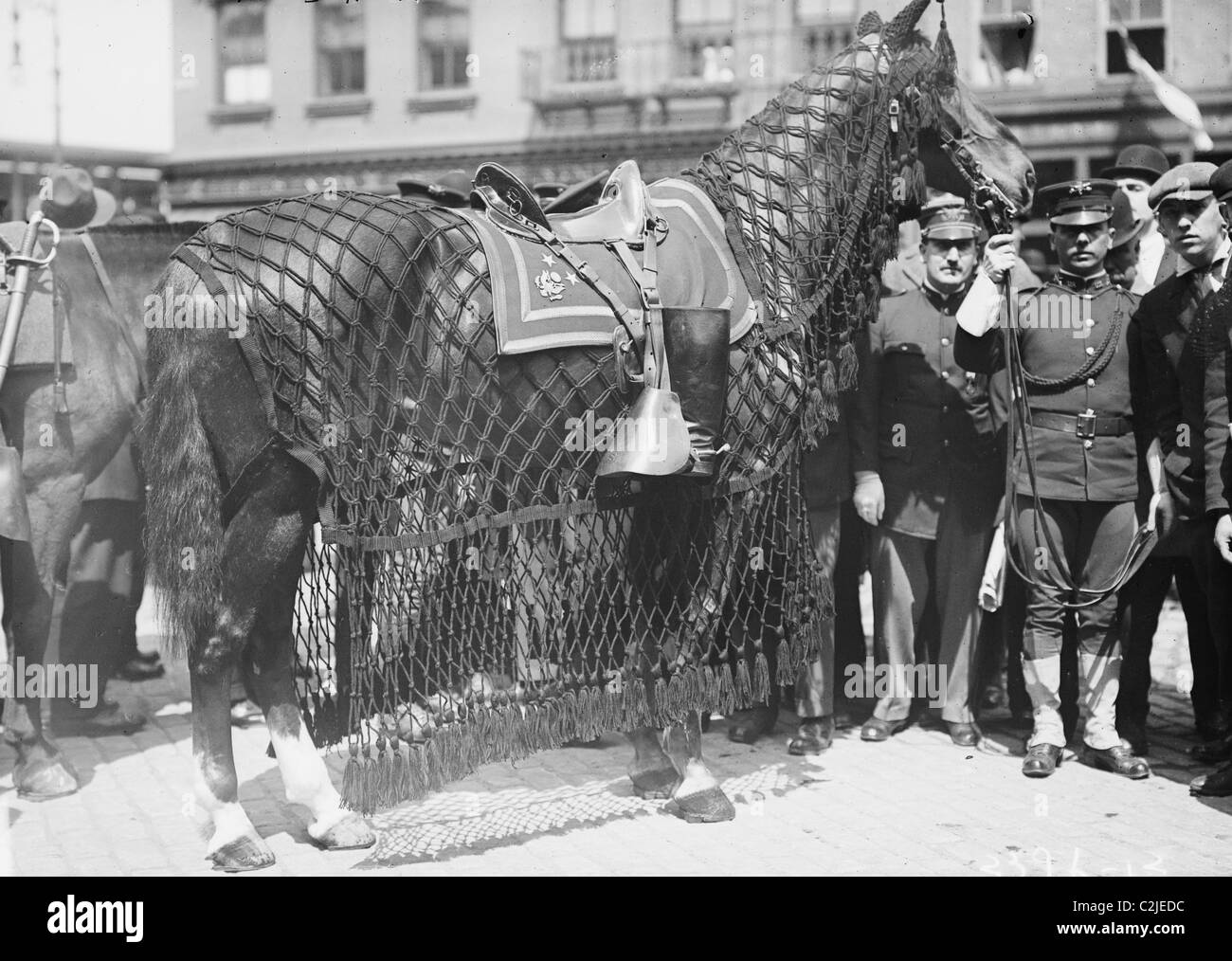 Général Grant's Horse Banque D'Images