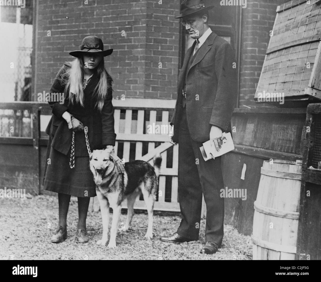 Septième conférence annuelle de l'exposition canine du Club canin de Washington Banque D'Images