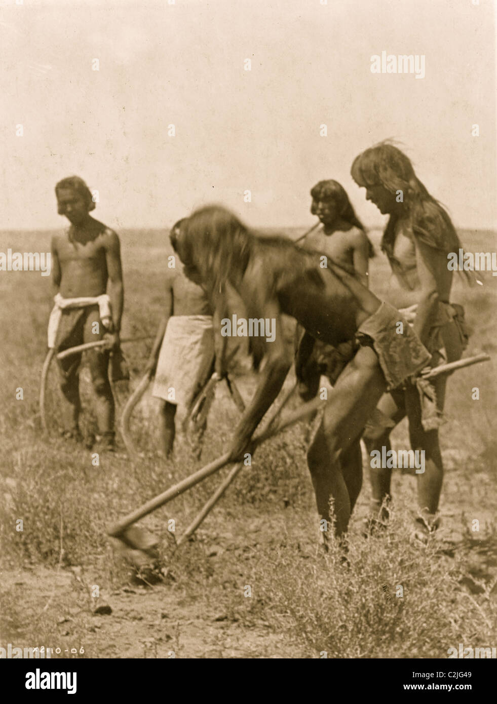 Creuser dehors les serpents Banque D'Images