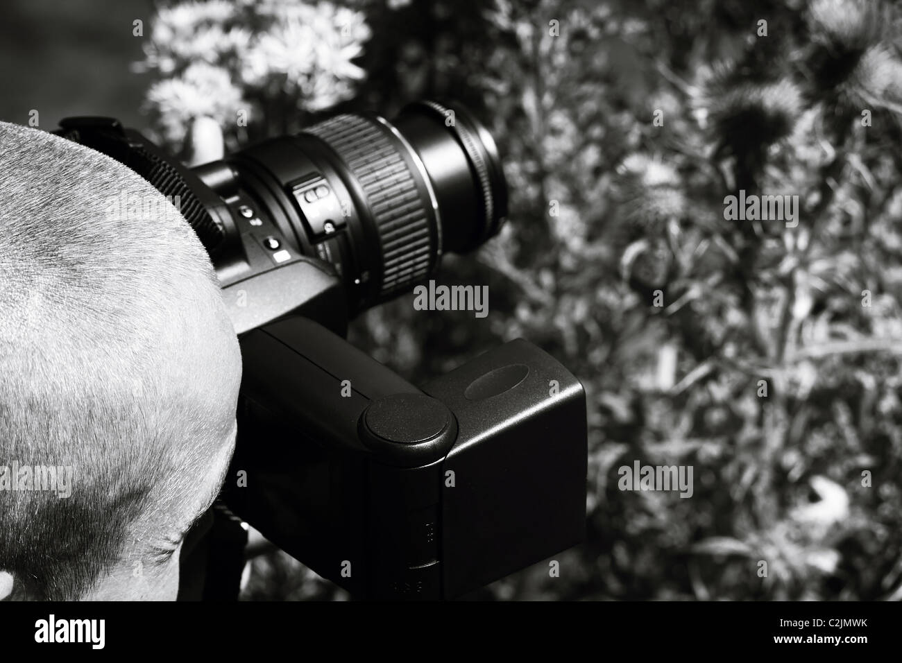 Un skinhead homme de prendre des photographies à travers un buisson, la photo est en noir et blanc. Banque D'Images
