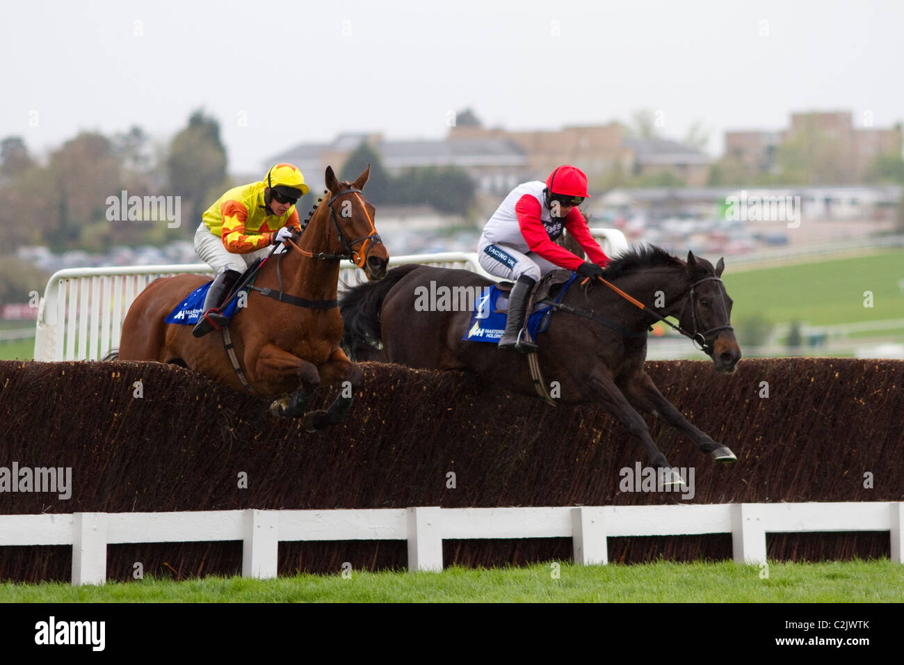 Poquelin dans le trophée d'argent Chase Masterson Holdings (Grade 2) Handicap limité - 13/4/2011 Banque D'Images