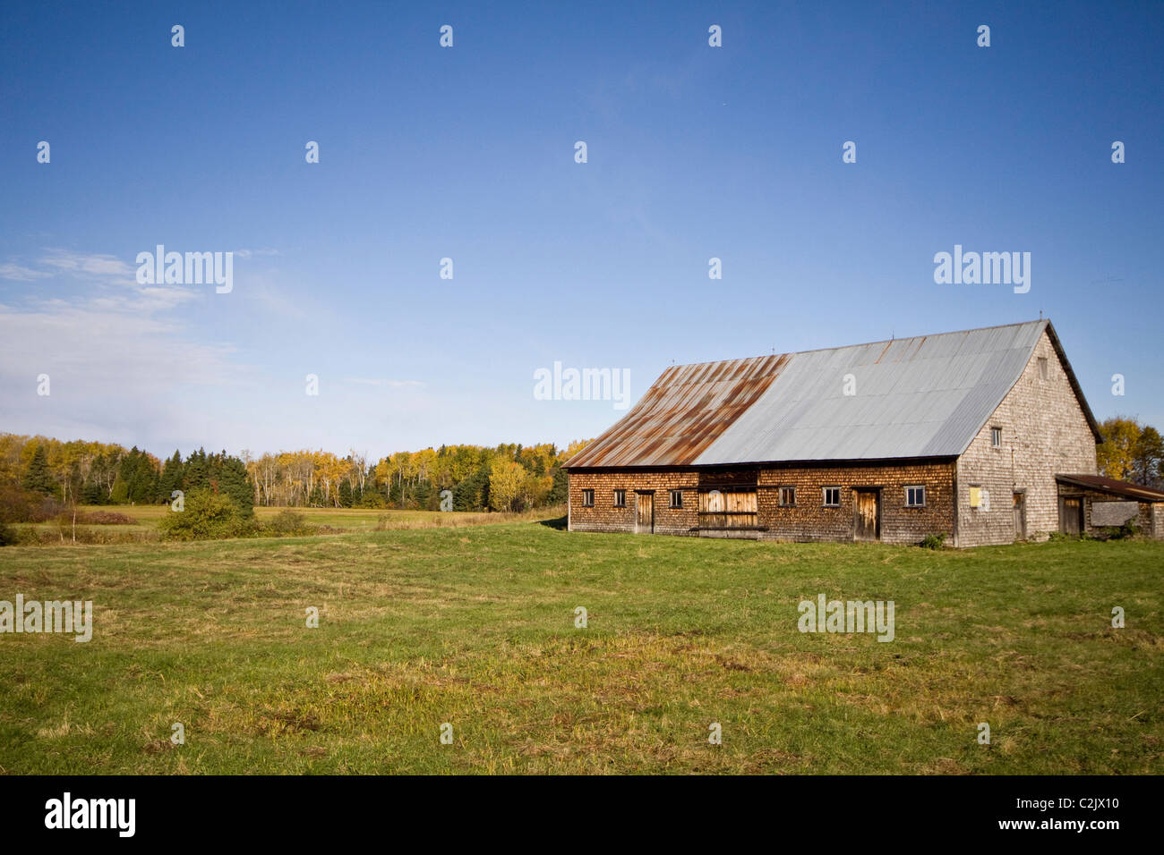 Ancienne grange altérés, près de Campbelton, Nouveau-Brunswick, Canada Banque D'Images