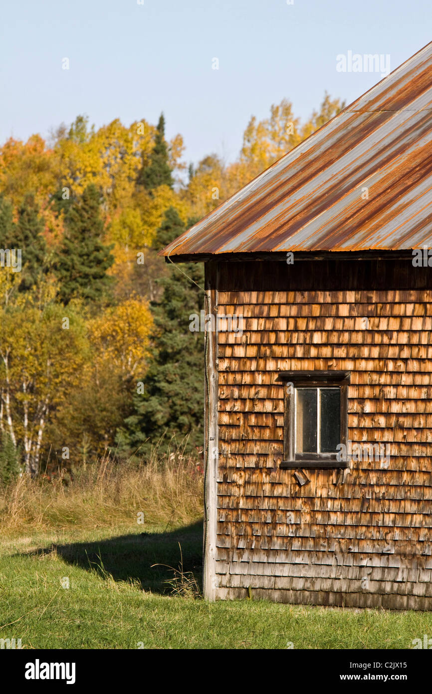 Ancienne grange avec Rusty Weathered tin roof, près de Campbelton, Nouveau-Brunswick, Canada Banque D'Images