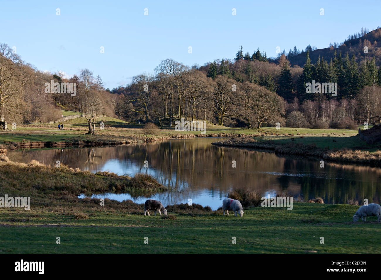 Elter l'eau, le Lake District, Cumbria, England, UK. Banque D'Images