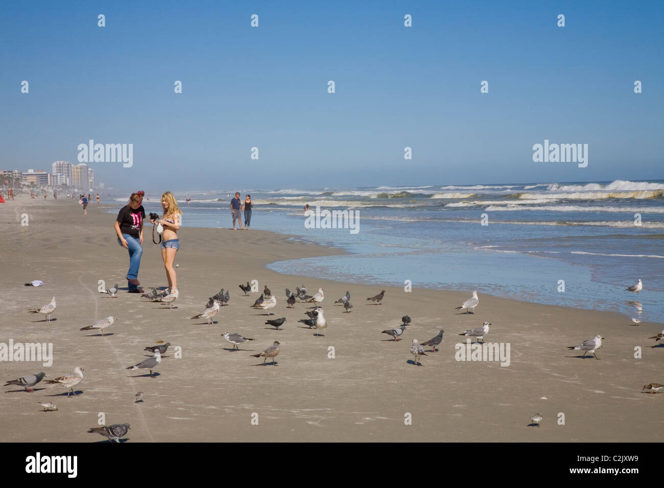 Nourrir les oiseaux, Daytona Beach, FL Banque D'Images
