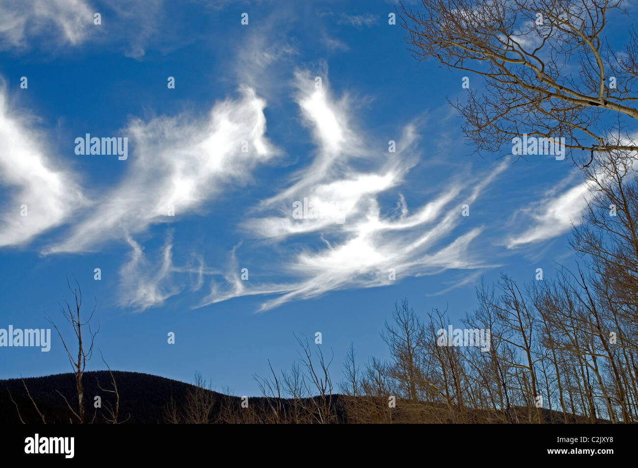 Nuages unique en bleu ciel Nouveau Mexique Banque D'Images