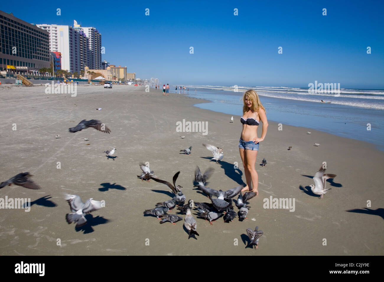 Nourrir les oiseaux, Daytona Beach, FL Banque D'Images
