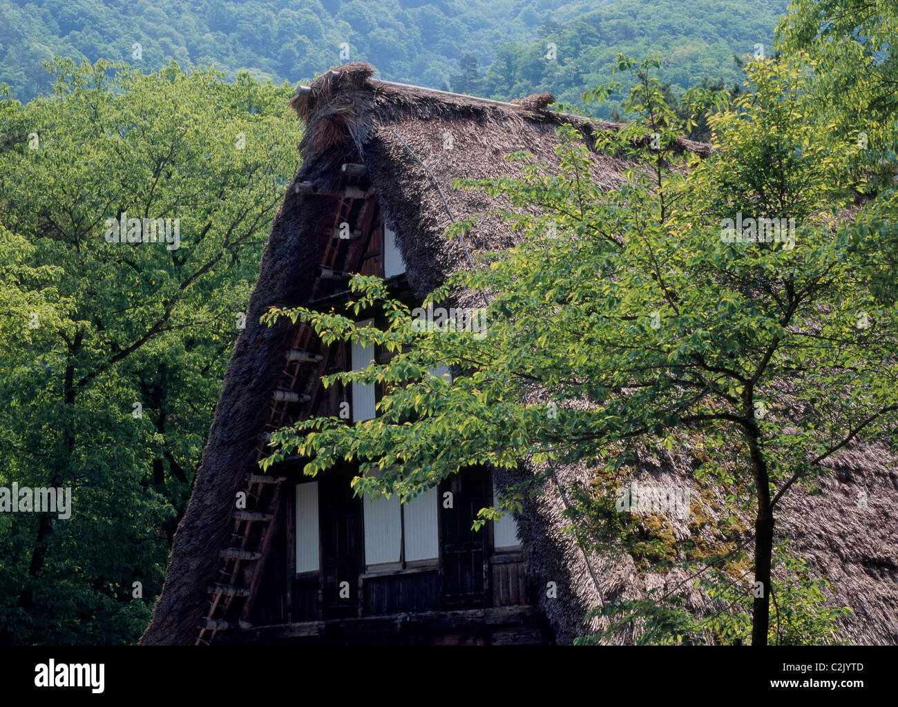Ferme et forêt à Shirakawa-go, Shirakawa, Ono, Gifu, Japon Banque D'Images